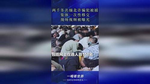 缅北诈骗犯爆料视频大全,视频爆料揭露罪恶全貌